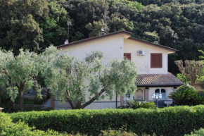 Отель B&B Cavalieri  Сан-Феличе-Чирчео